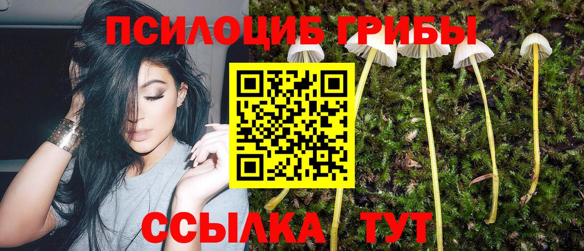 Старая Русса  Галлюциногенные грибы Cubensis  Вход с VPN 